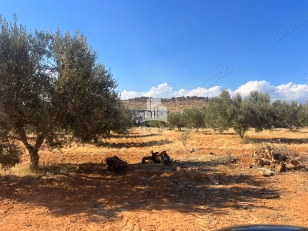 Terrain a vendre a monchar Yasmine Hammamet