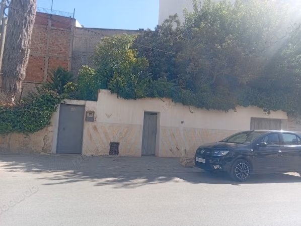 Old Villa – 445 m² – R7 Potential – Hamria