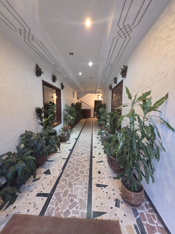 Très bel appartement en location à Mozart. 
4 grandes pièces. 
Meublé