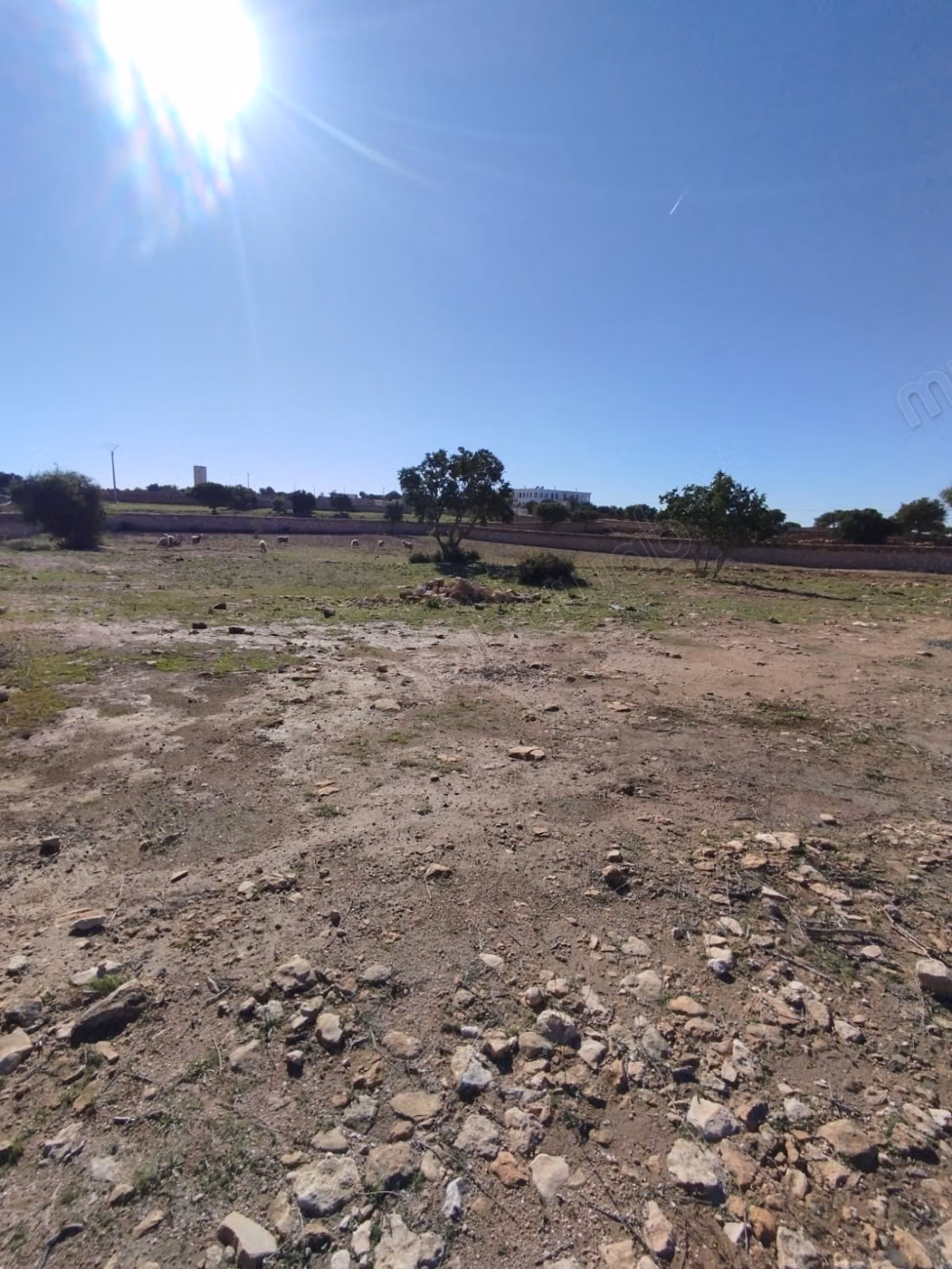 Verkoop van grond op 8 km van Sidi Kaouki. Oppervlakte van 7000 m²