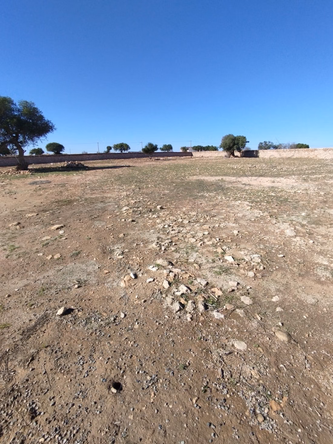 Verkoop van grond op 8 km van Sidi Kaouki. Oppervlakte van 7000 m²