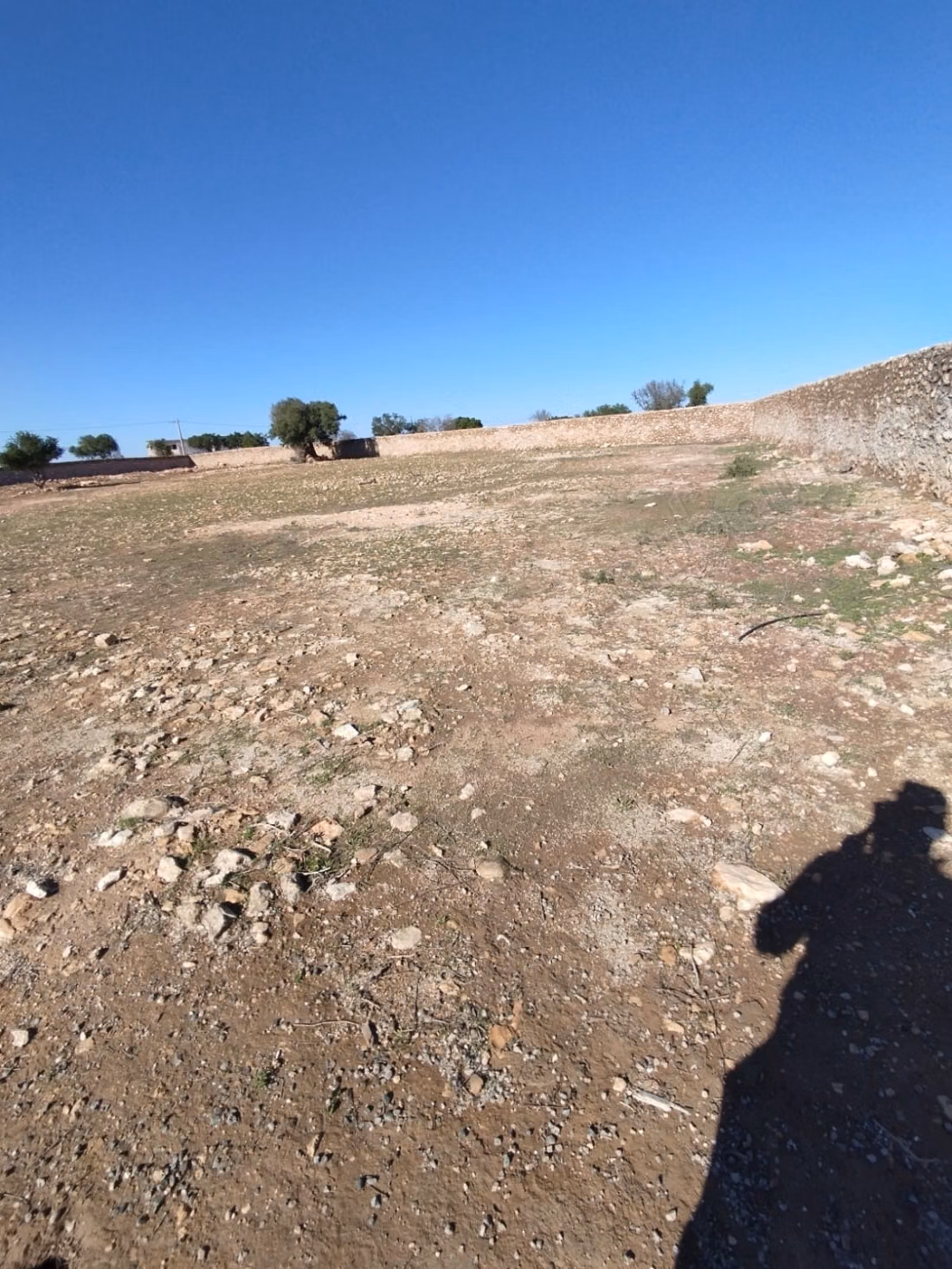 Verkoop van grond op 8 km van Sidi Kaouki. Oppervlakte van 7000 m²