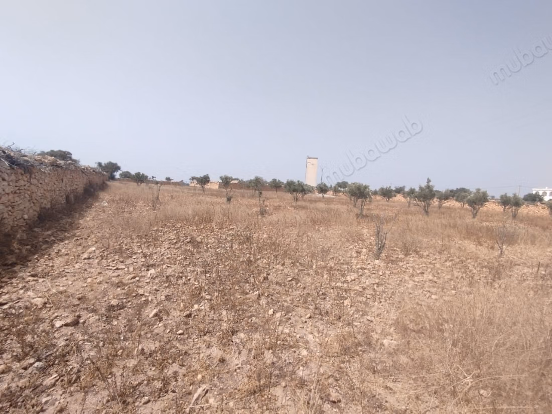Verkoop van grond in Sidi Kaouki. Oppervlakte 5700 m²