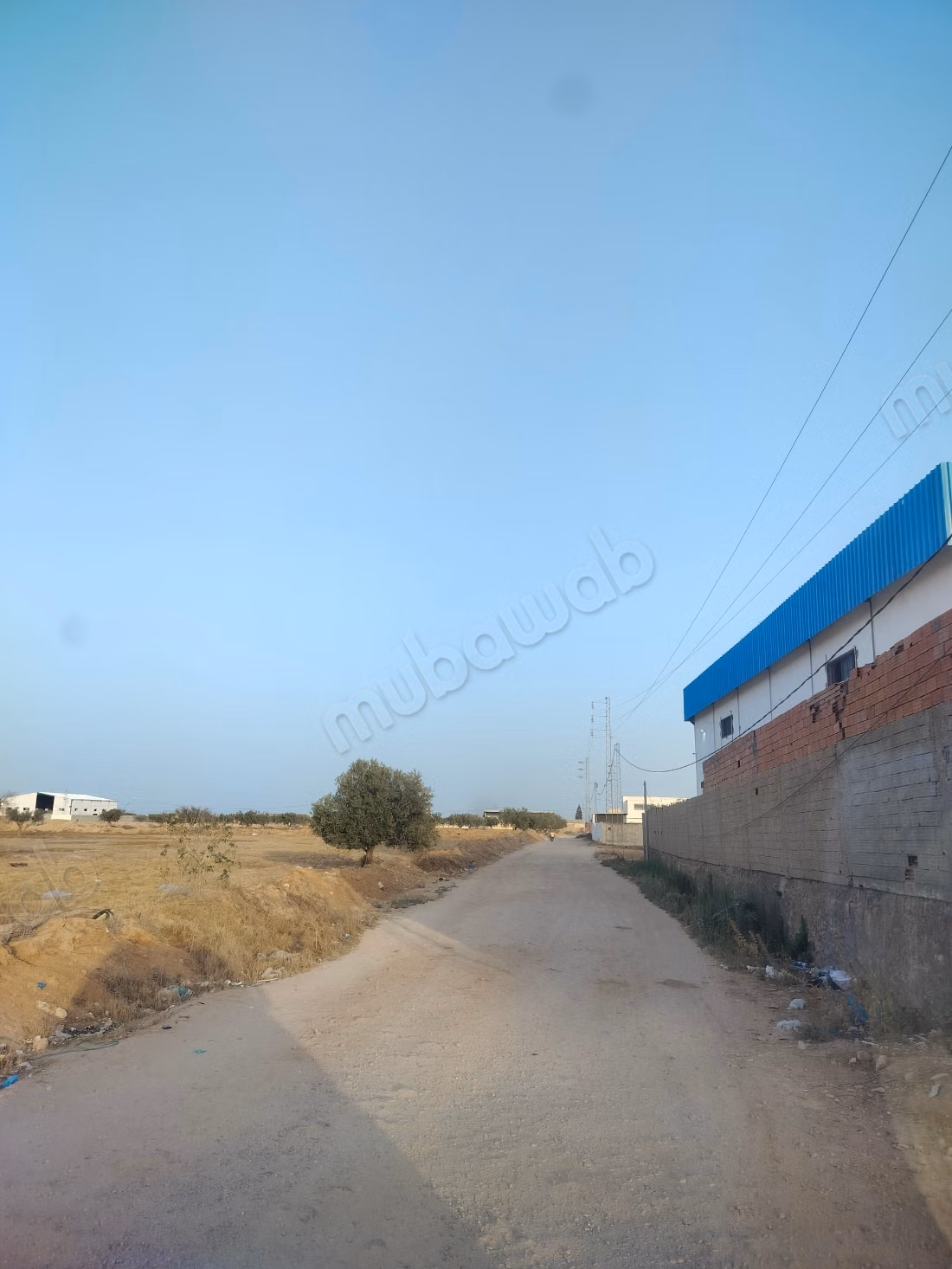 2 Lots of Land for Sale