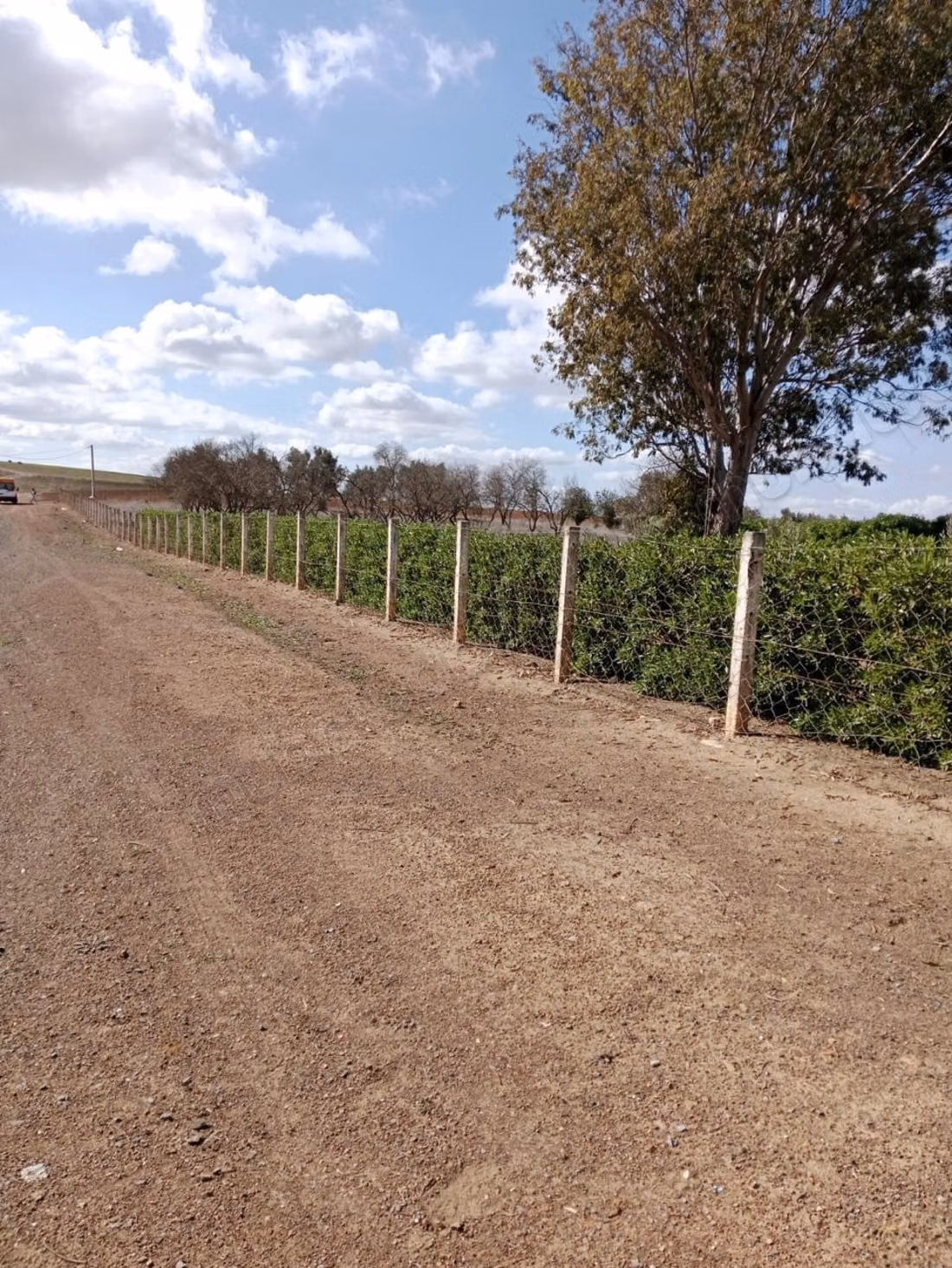 Granja en venta en Sidi Bettache