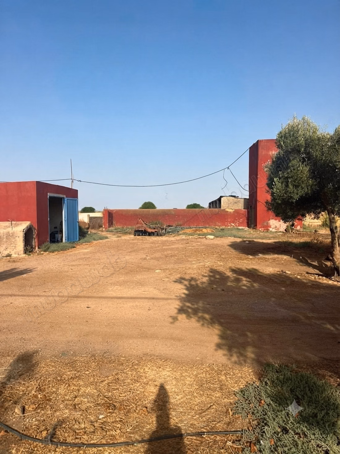 Ferme titré 10 ha à Ouled said 
province de settat