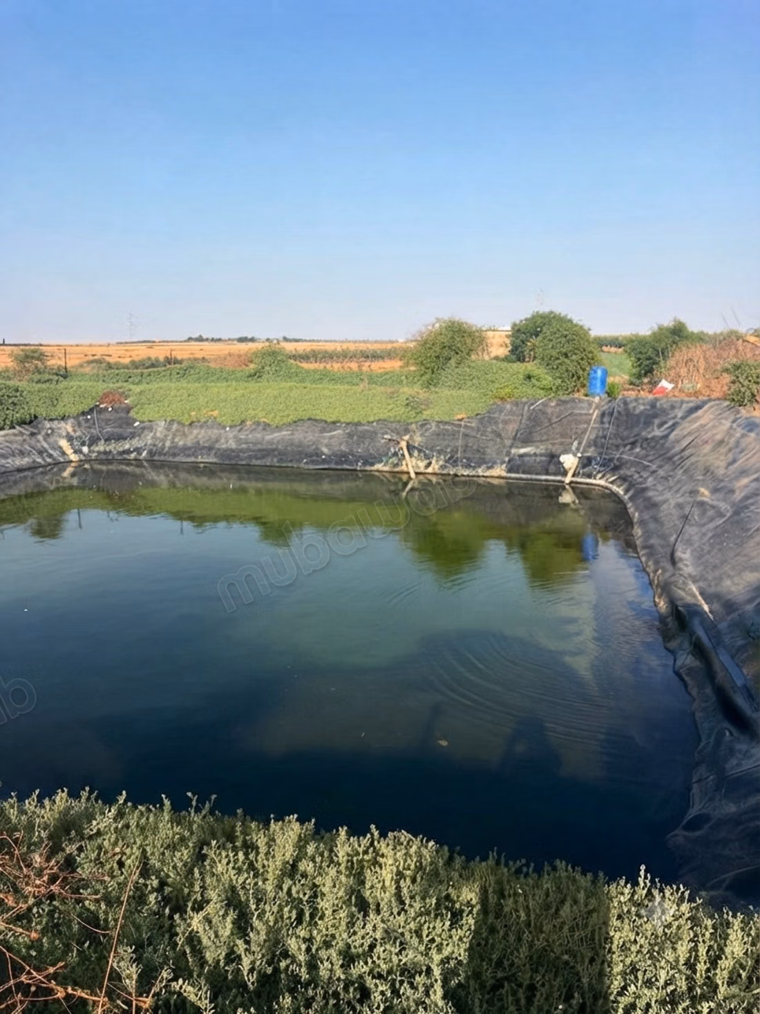 Ferme titré 10 ha à Ouled said 
province de settat