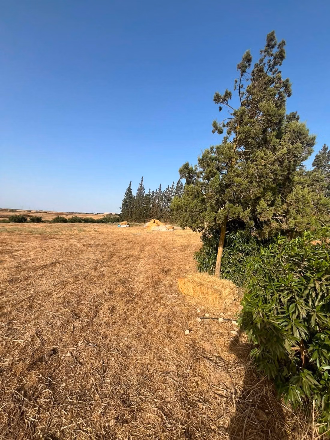 Ferme titré 10 ha à Ouled said 
province de settat