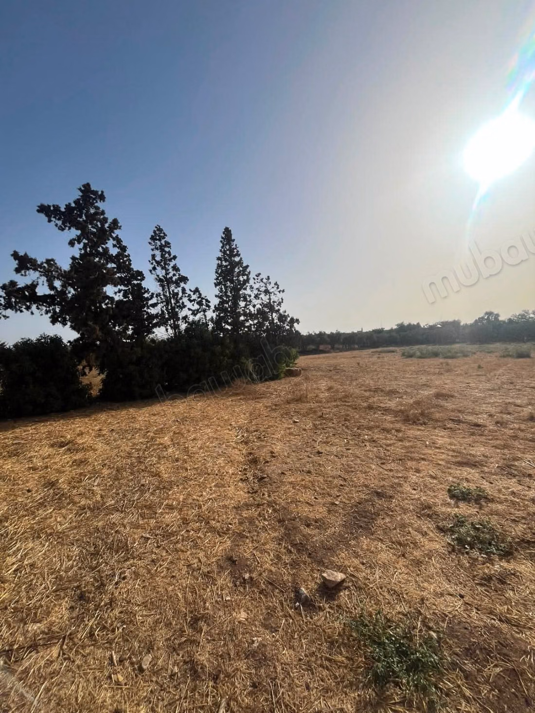 Ferme titré 10 ha à Ouled said 
province de settat