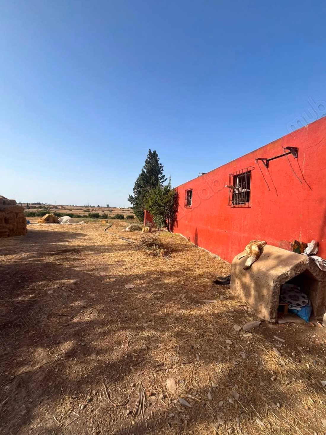 Ferme titré 10 ha à Ouled said 
province de settat