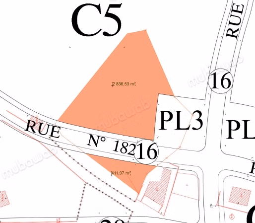 Vente terrain à Route Nationale 
Assilah. Surface totale 5000 m²