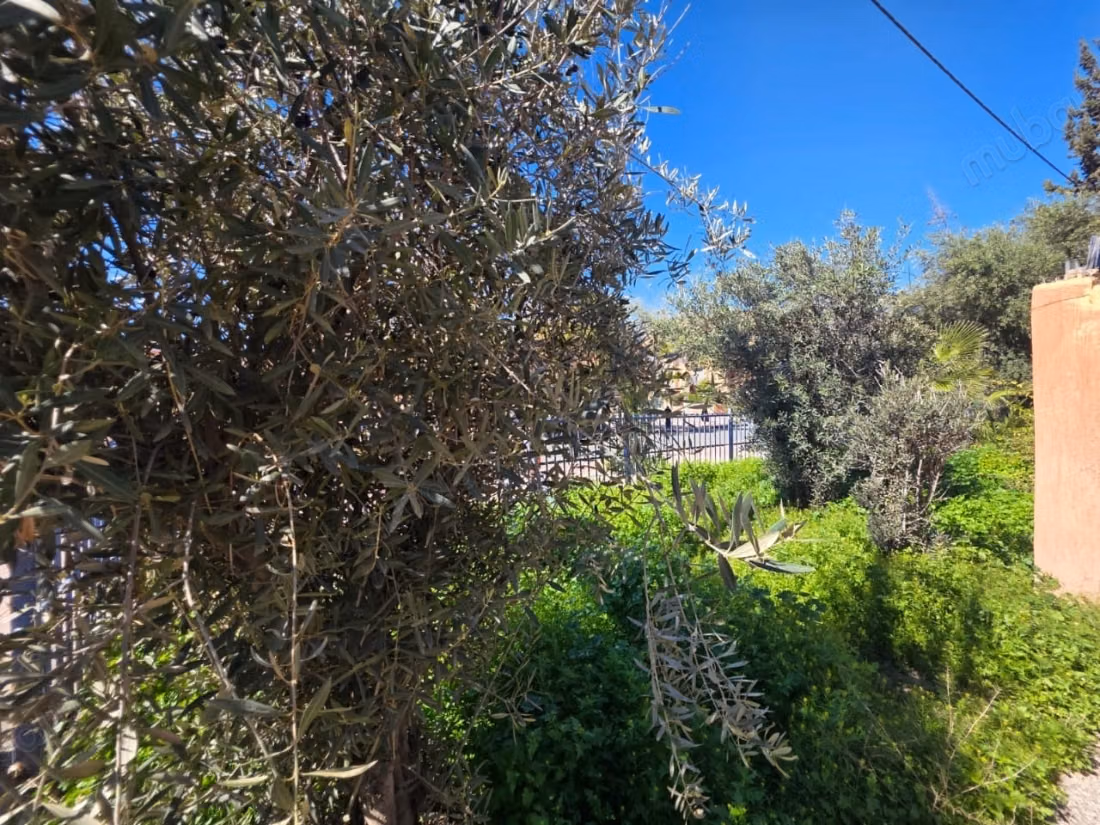 Magnifique villa à vendre à Daoudiat.
Superficie 356 m²