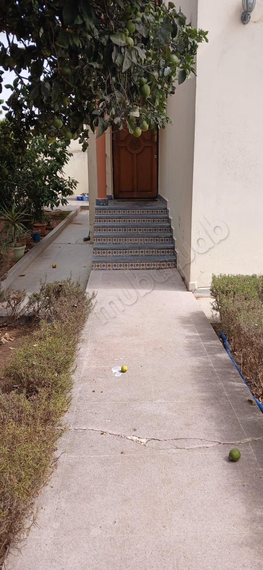 Villa 310 m² with garden of 190 m²
