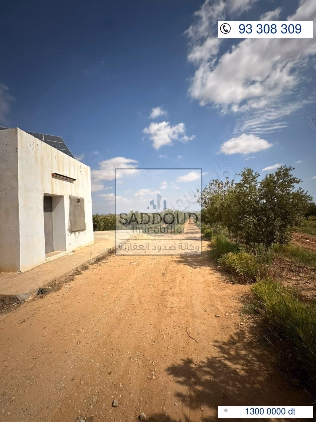 Agricultural land for sale – Route El Ain Km 16