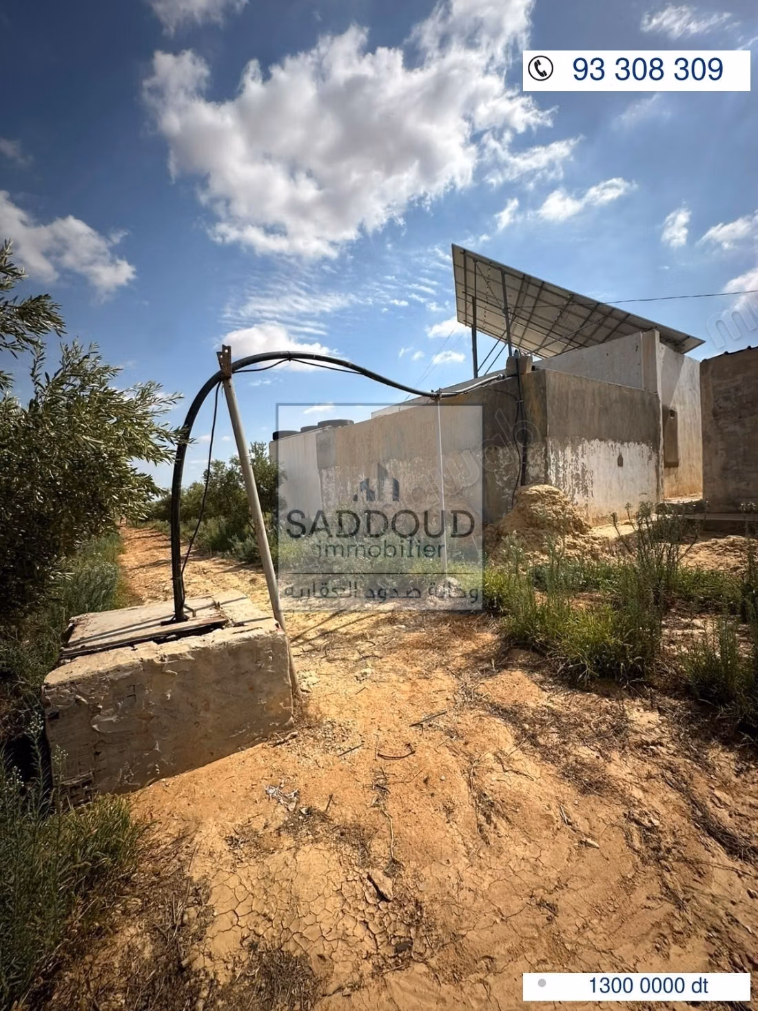 Agricultural land for sale – Route El Ain Km 16