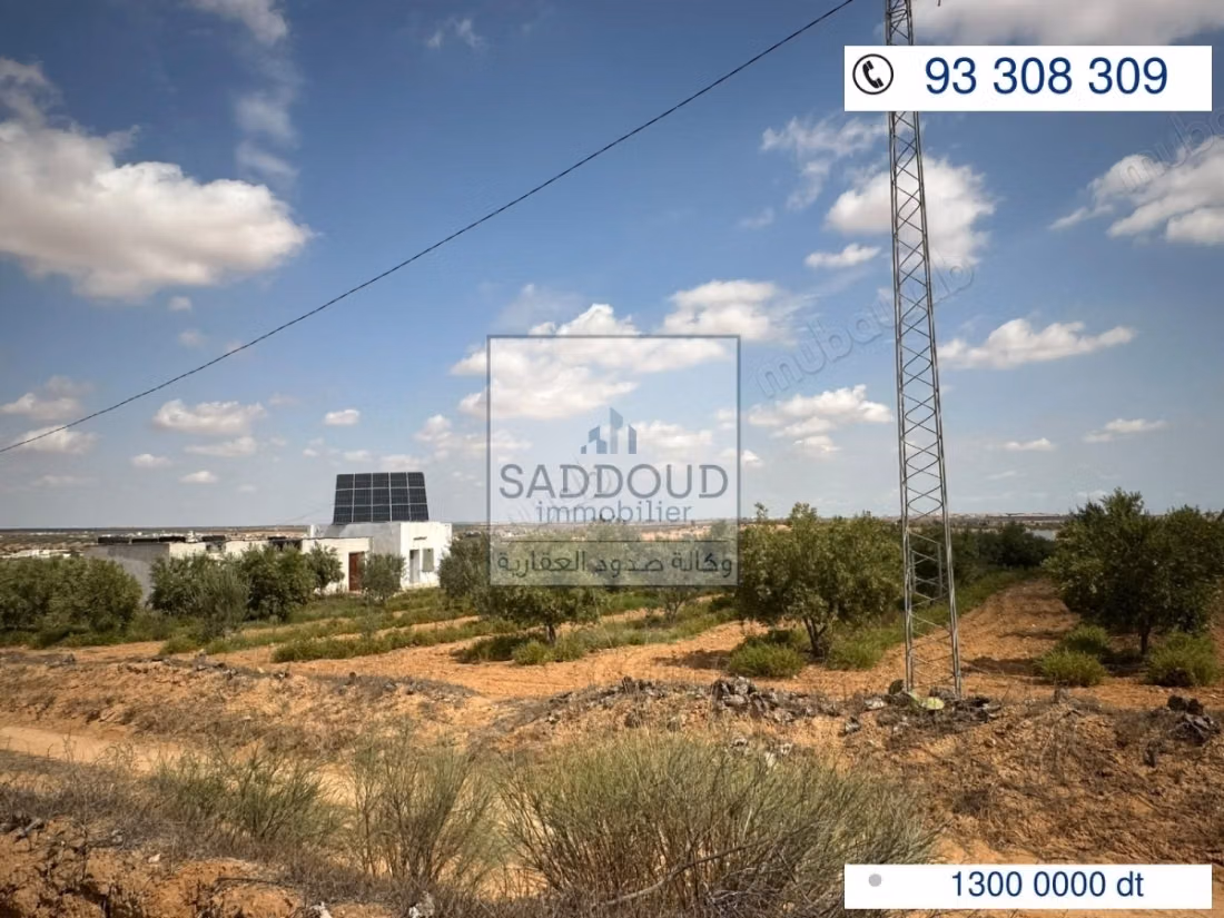 Agricultural land for sale – Route El Ain Km 16