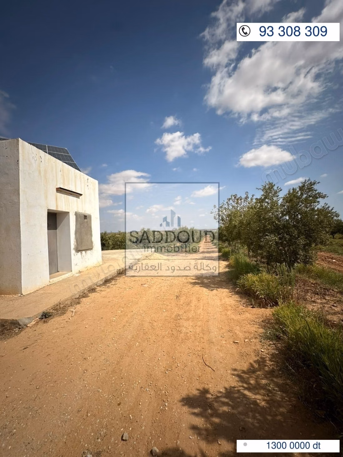 Agricultural land for sale – Route El Ain Km 16