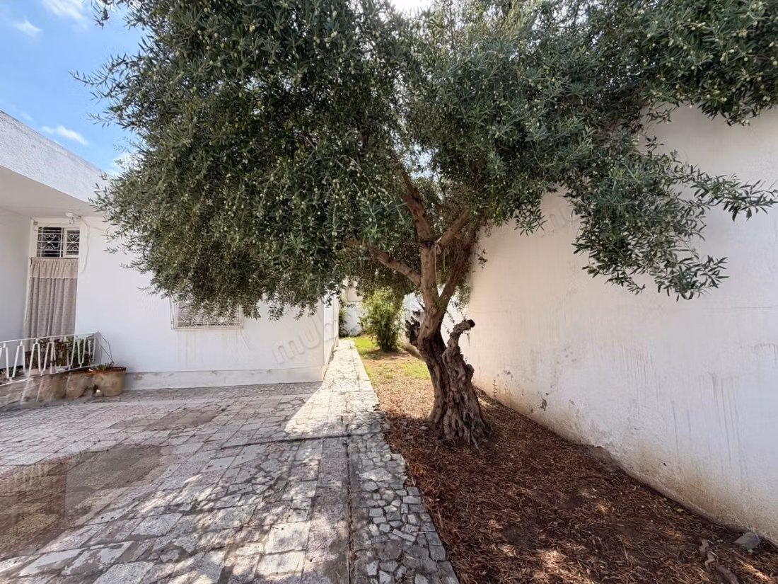 Villa su un piano di 540 m² giardino a Mégrine