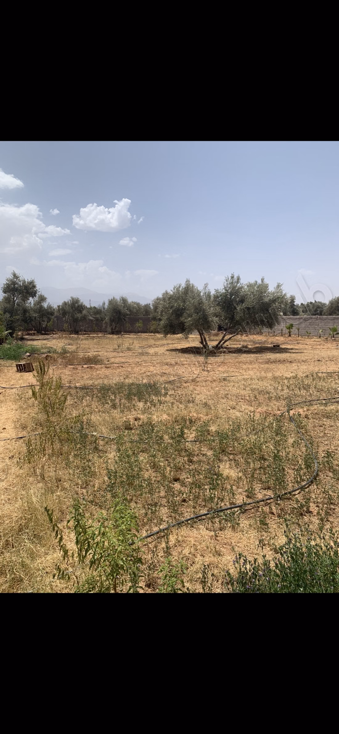 Terrain à acheter à Ghmate.
Surface de 1761 m²
