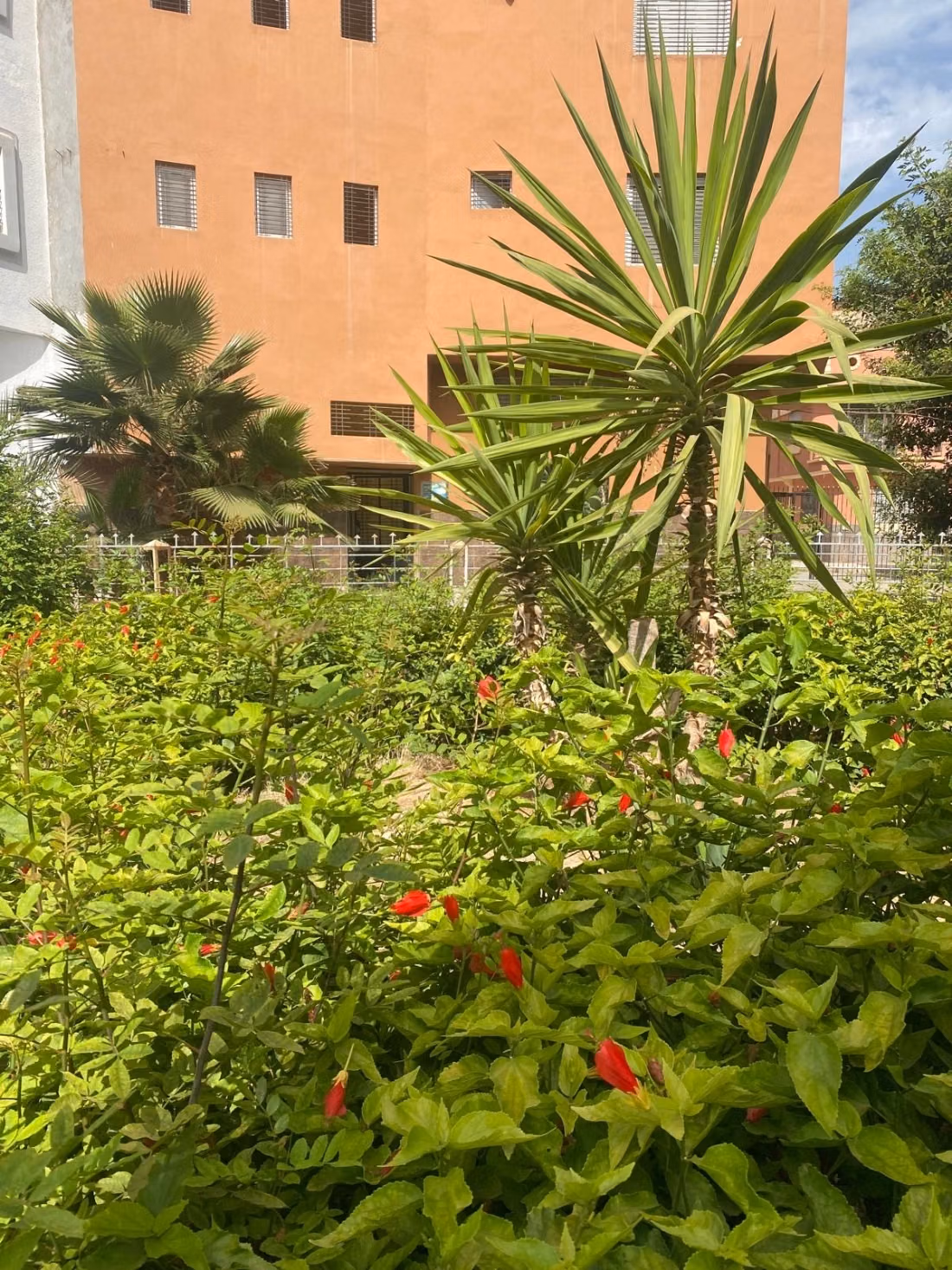 Selling an apartment in Saïdia. 3 comfortable rooms. Furnished