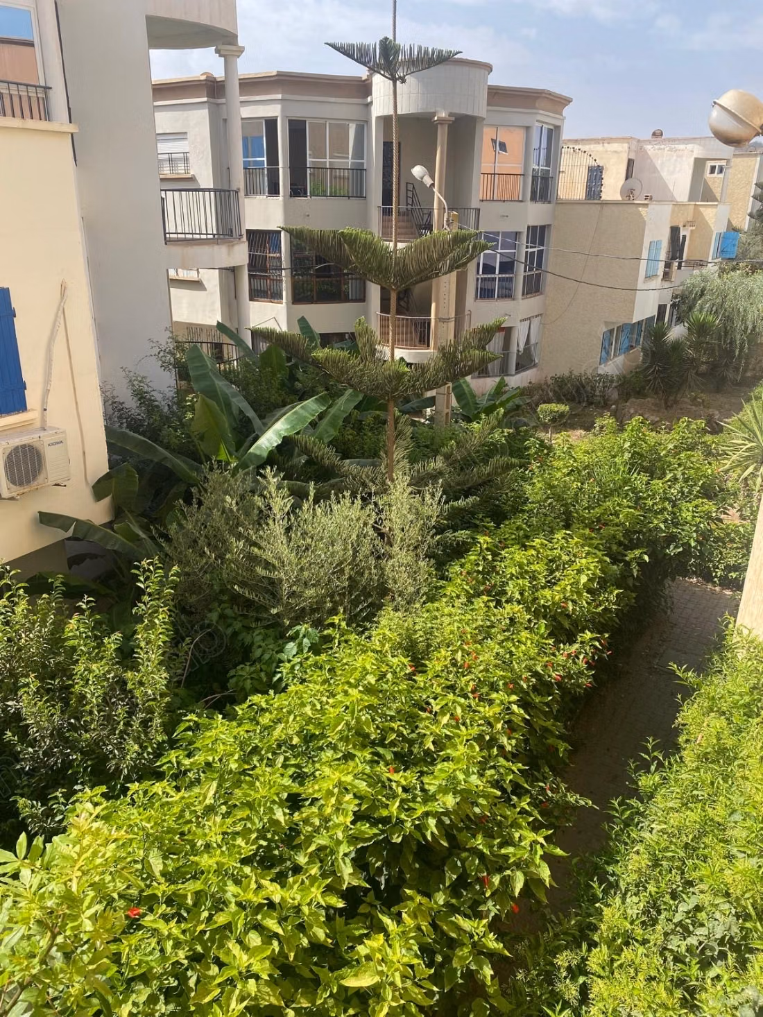 Selling an apartment in Saïdia. 3 comfortable rooms. Furnished