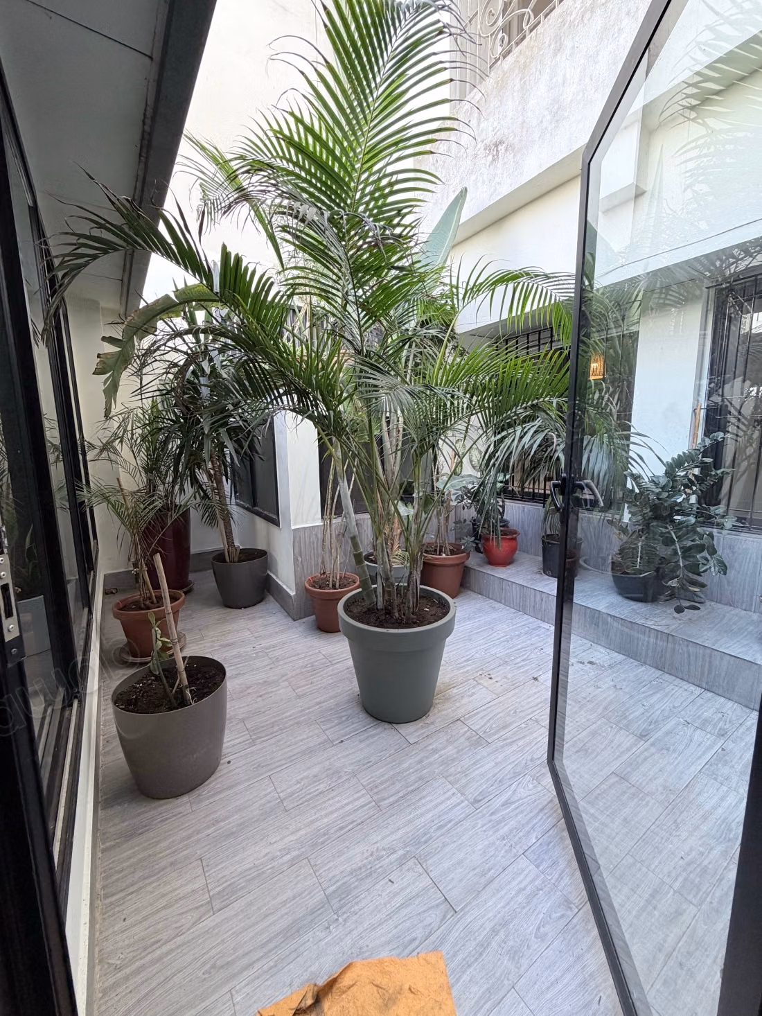 Appartement 3 chambre vide ou meuble racine