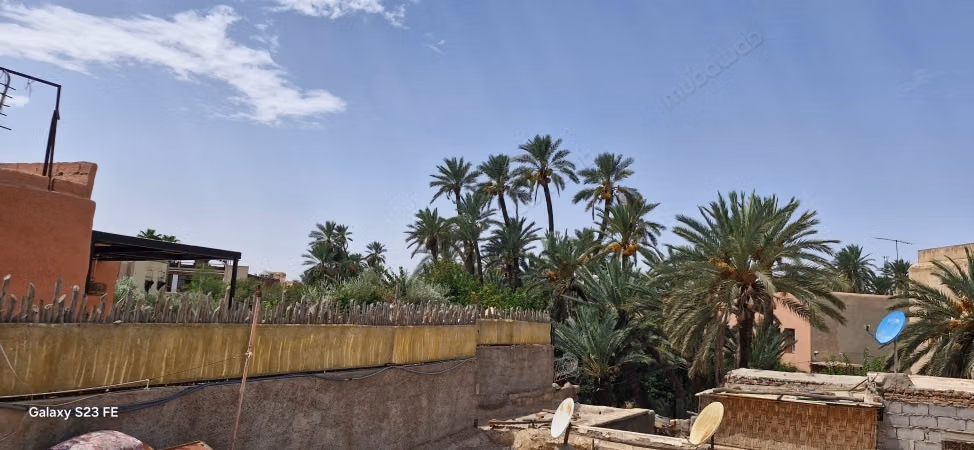 Riad con Grande Terrazza - Quartiere Zaouia