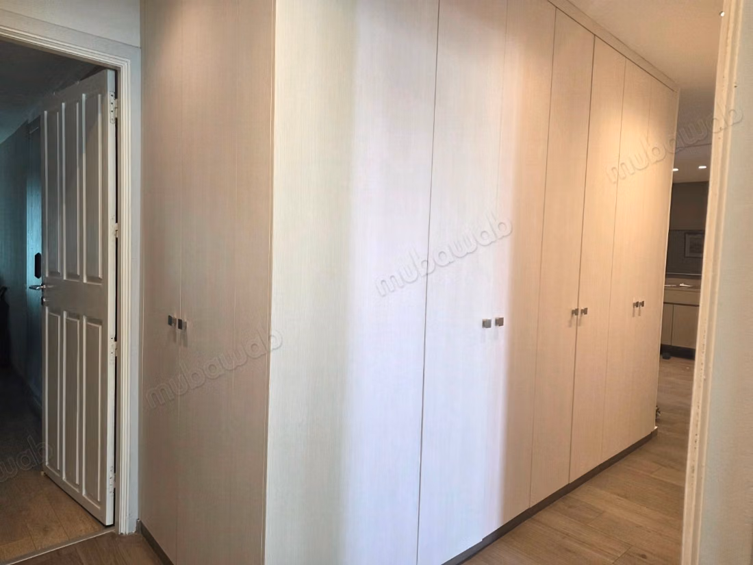 Beautiful spacious apartment Valfleuri