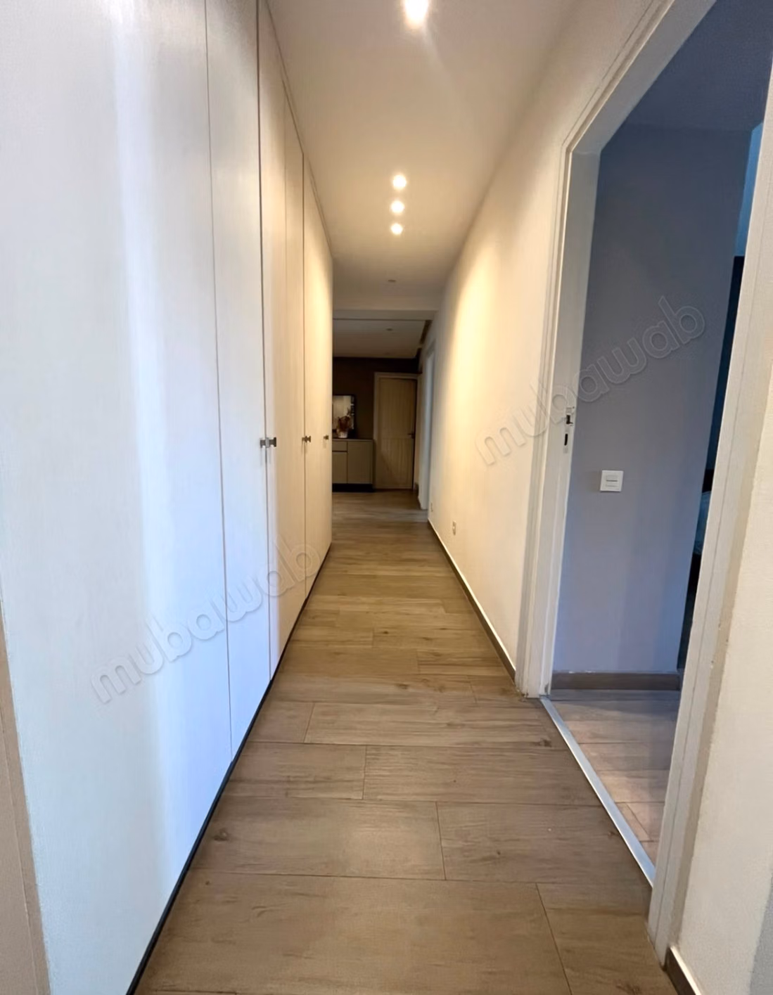 Beautiful spacious apartment Valfleuri