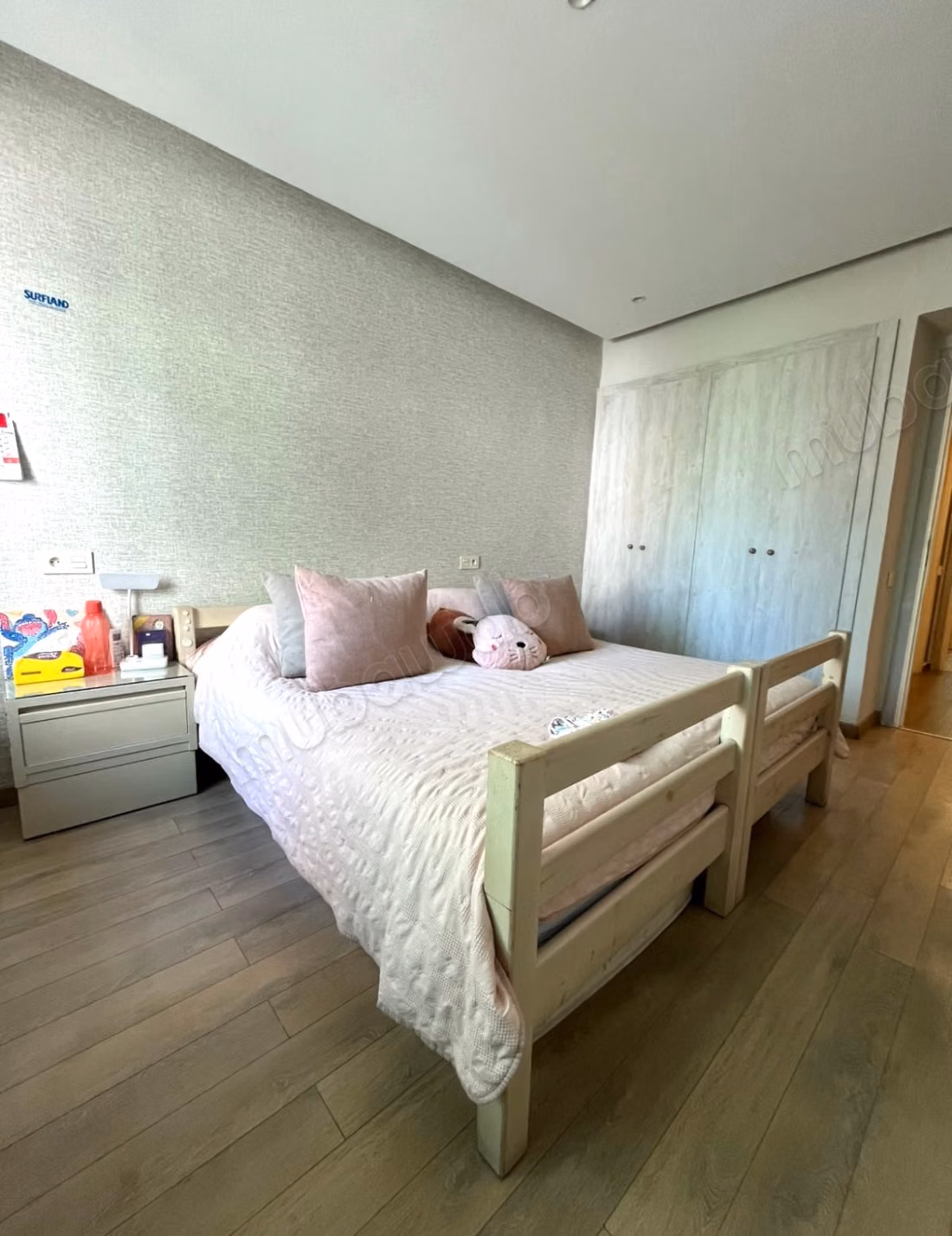 Beautiful spacious apartment Valfleuri