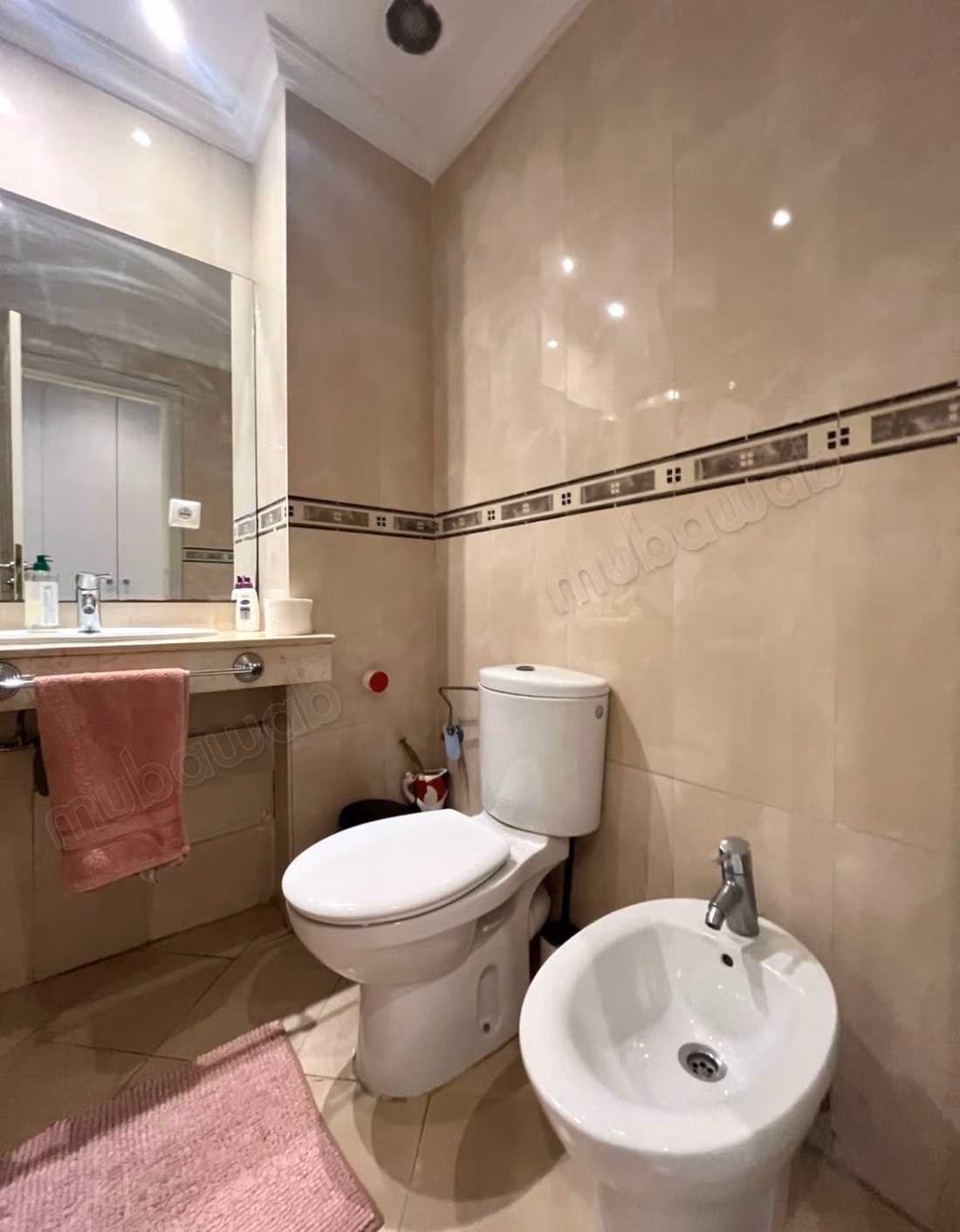 Beautiful spacious apartment Valfleuri
