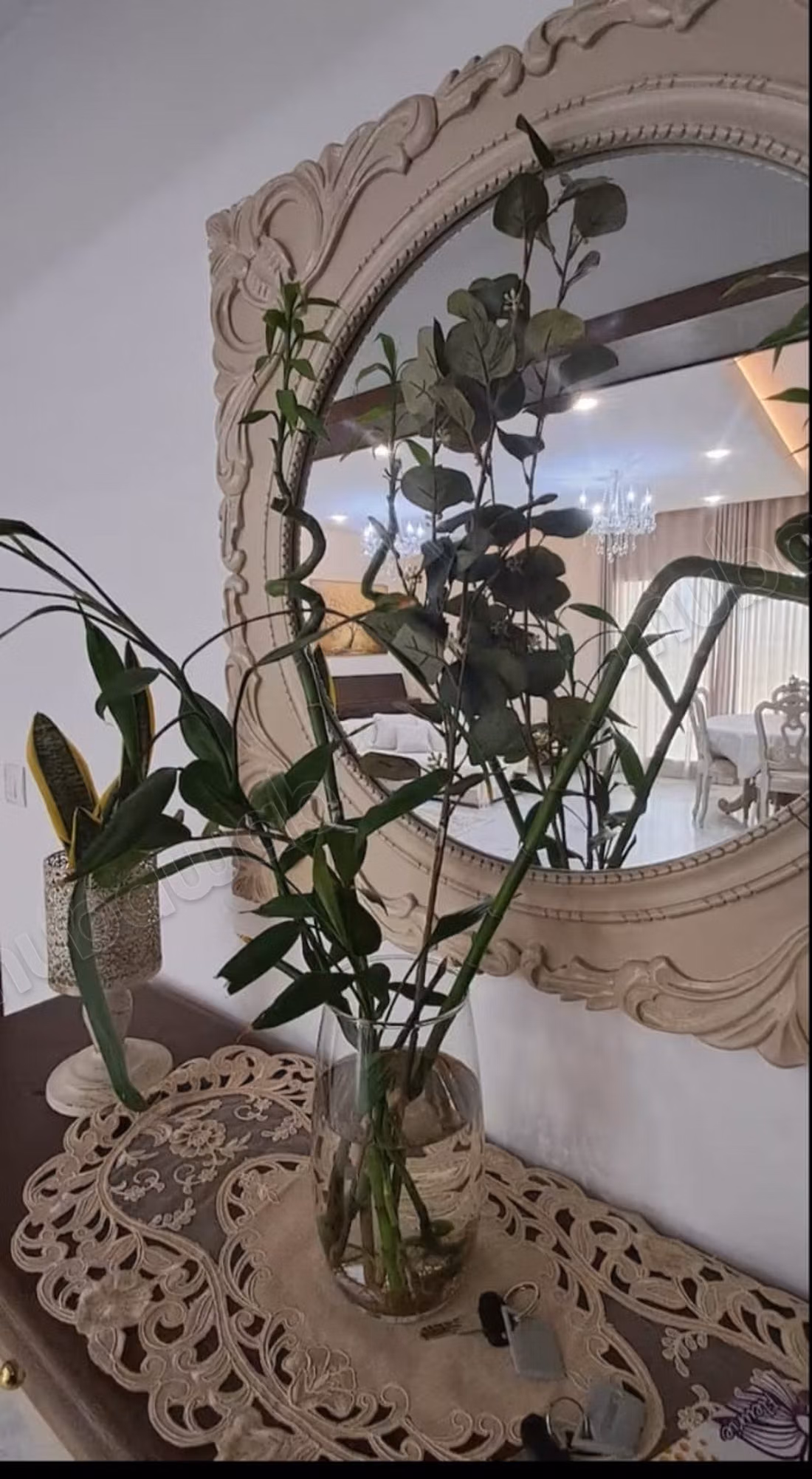 Rental of high-end furnished apartment