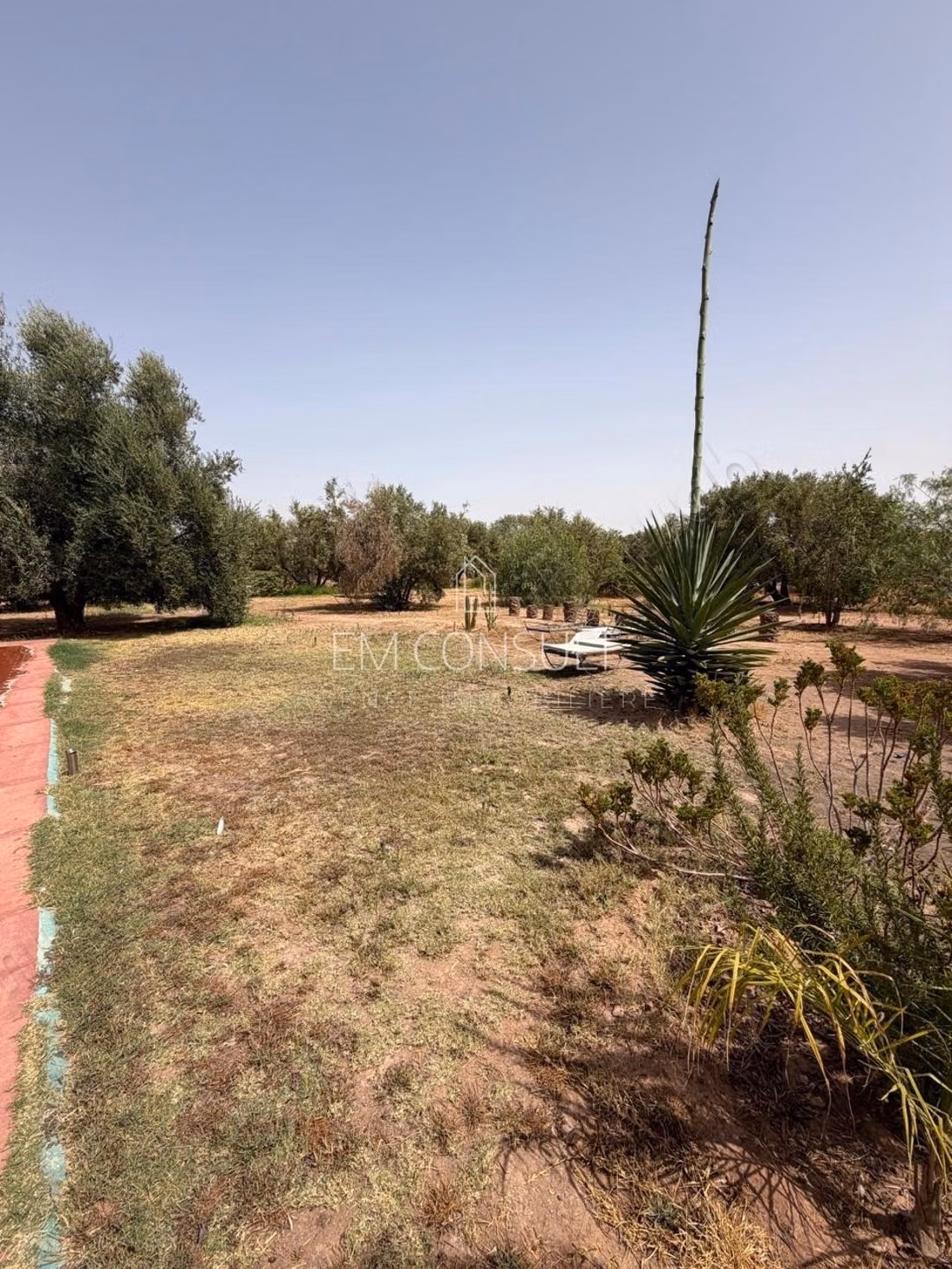 Location villa 6 suites sur 1,7 ha 600m2 route d'amizmiz km 15