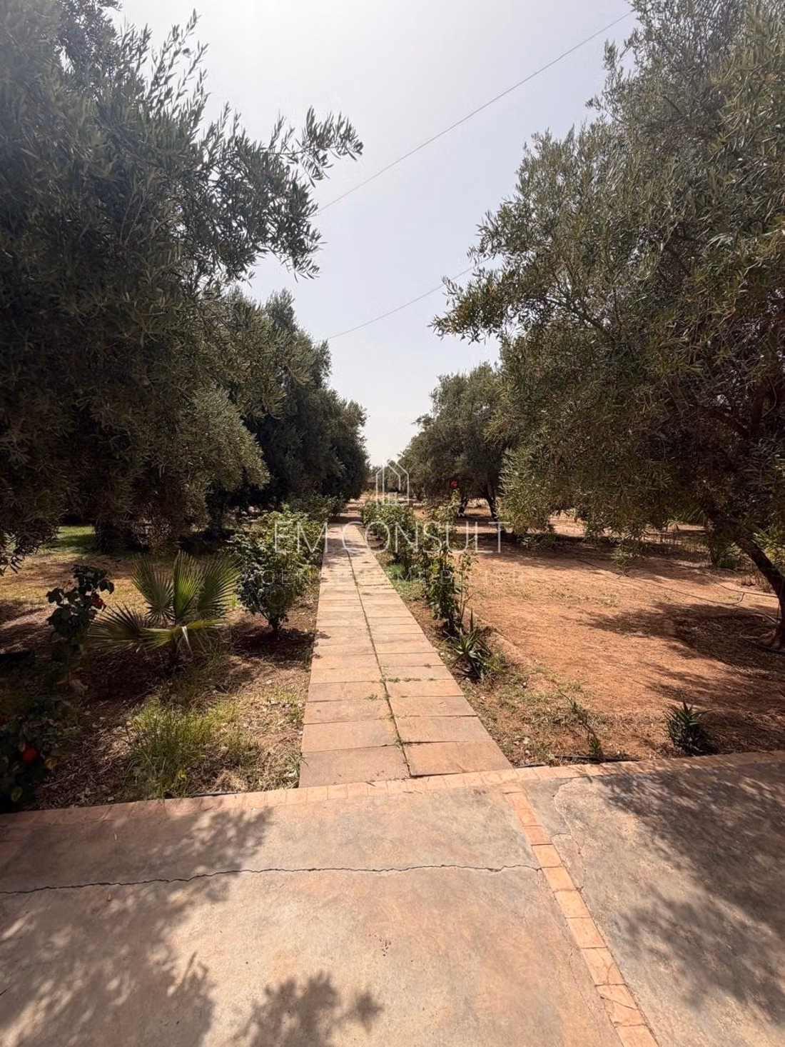 Location villa 6 suites sur 1,7 ha 600m2 route d'amizmiz km 15