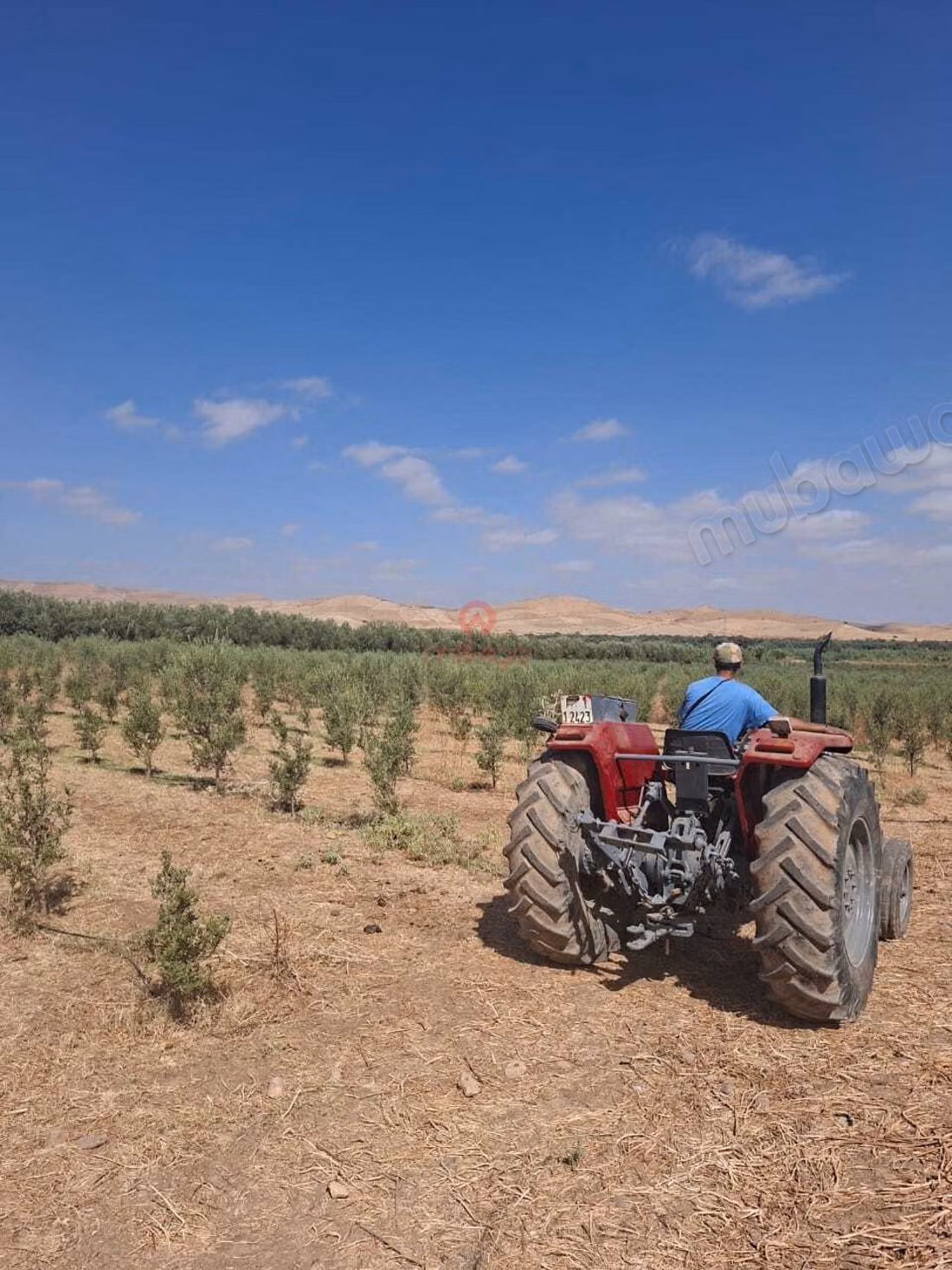 Verkoop van een Boerderij in Khémisset