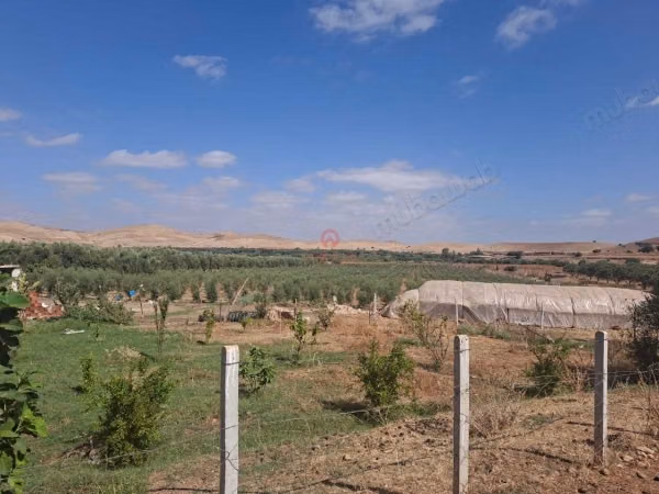 Vendita di Fattoria a Khemisset