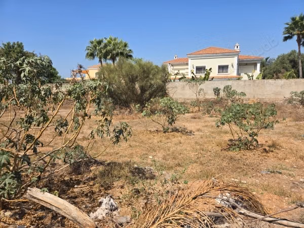 Terrain en vente à Californie.
Superficie 1500 m²