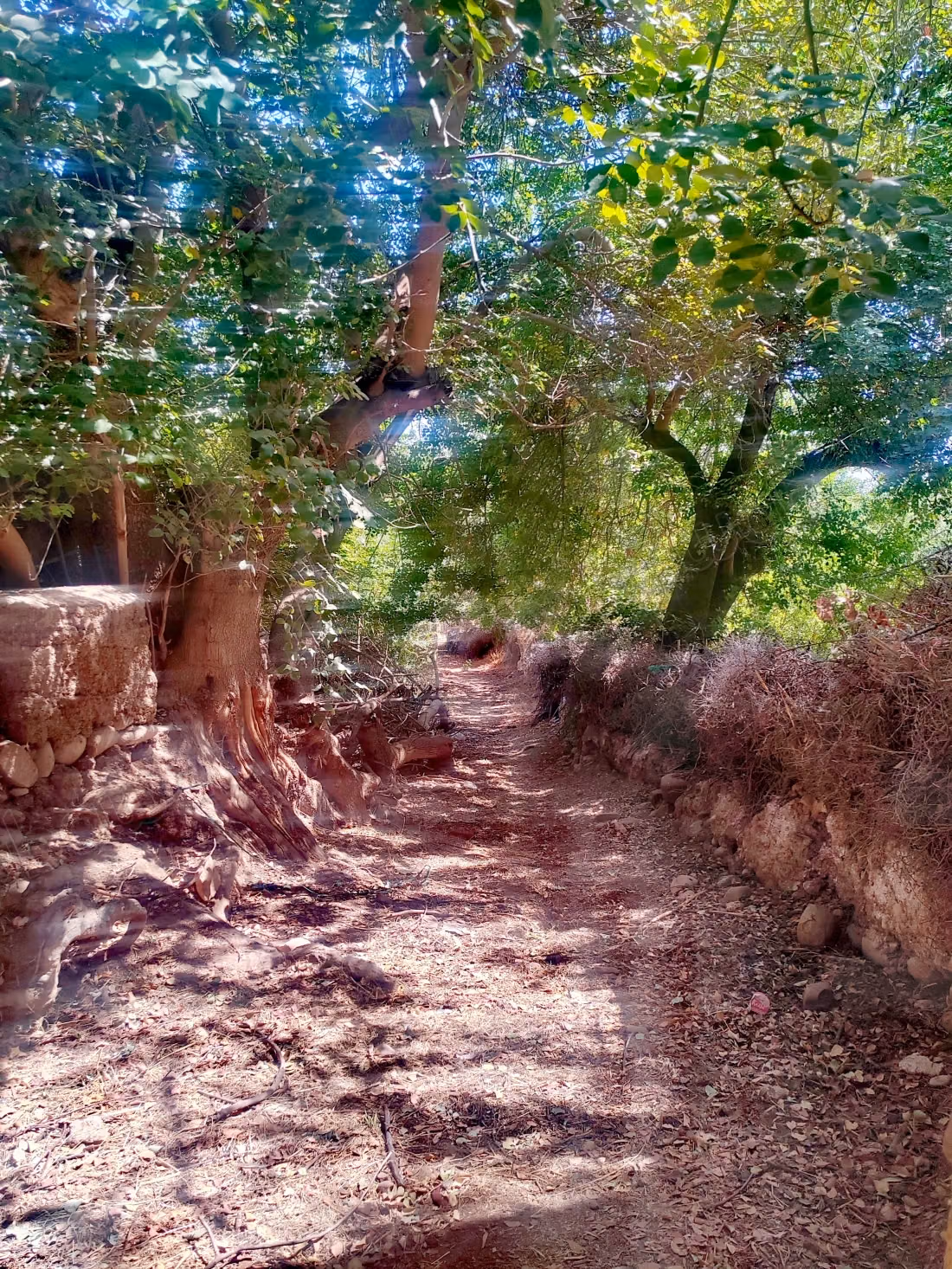Granja en venta en Lalla Takerkoust