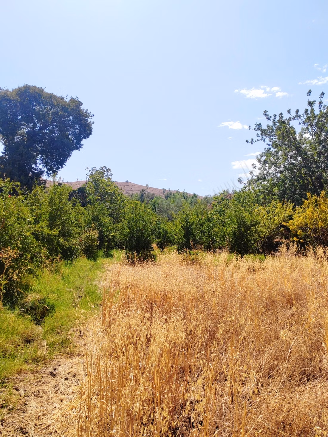Granja en venta en Lalla Takerkoust