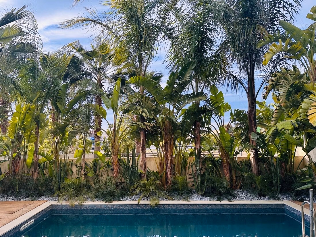 Appartement en vente à Sidi Daoued. 3 belles chambres. Bien meublé