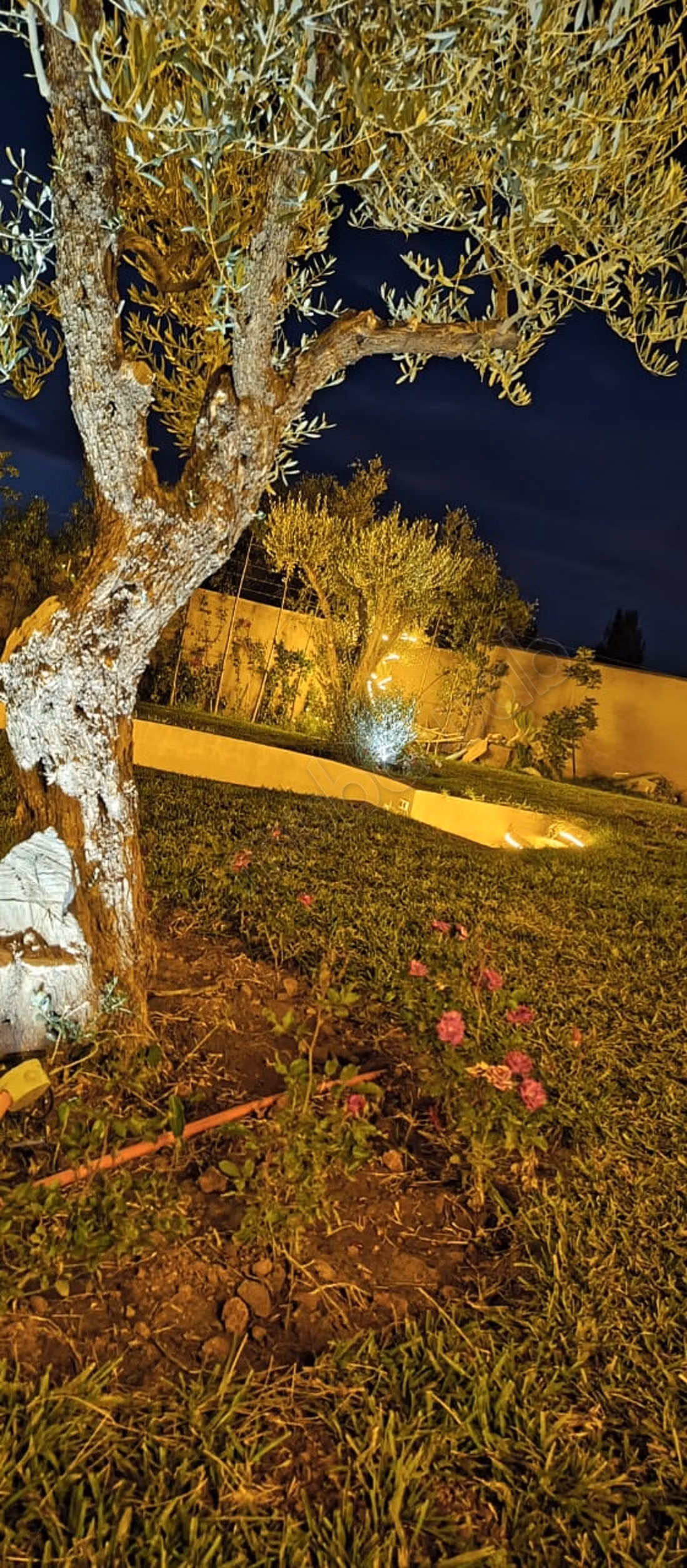 Stunning villa with an area of 1100 square meters