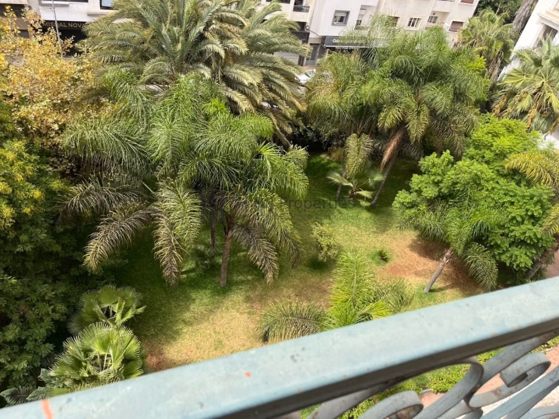 Appartement t2 de 82 m² – 1 chambre — 2