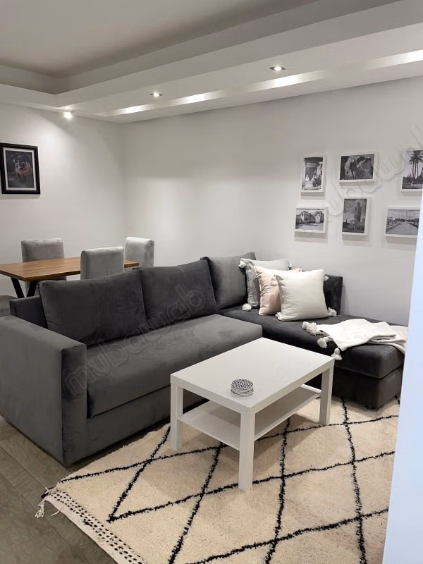 Spacious furnished apartment for rent