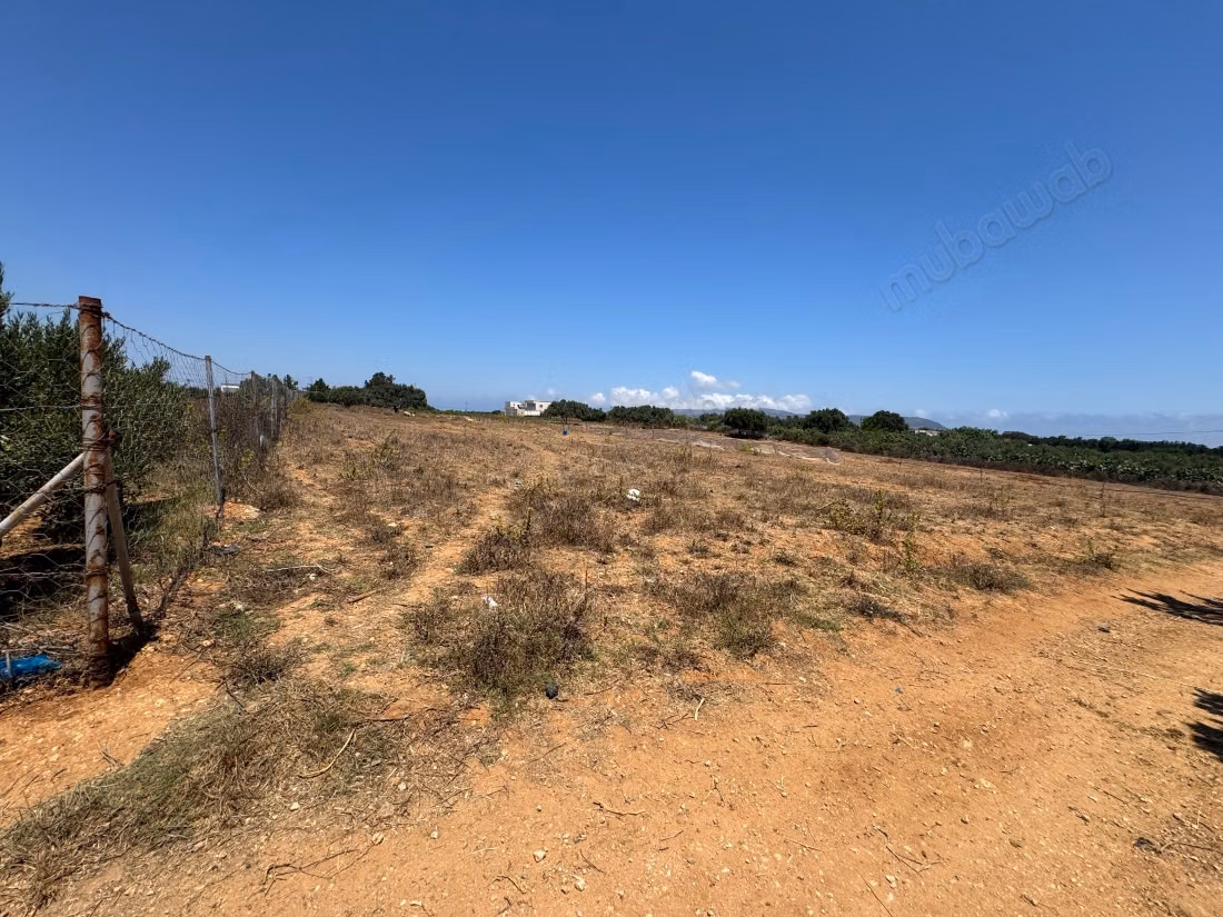  Land for sale in Sidi Mdhour - Kelibia 