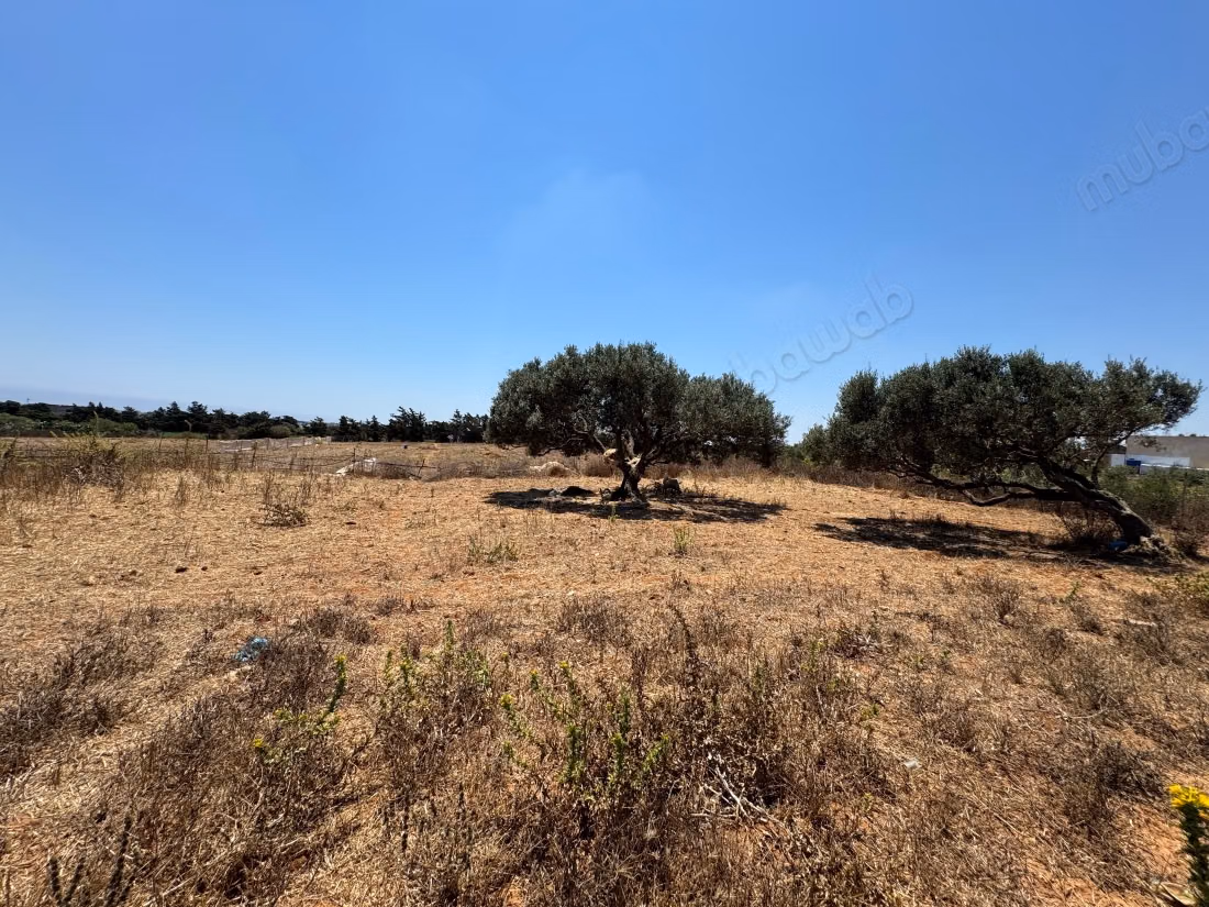  Land for sale in Sidi Mdhour - Kelibia 