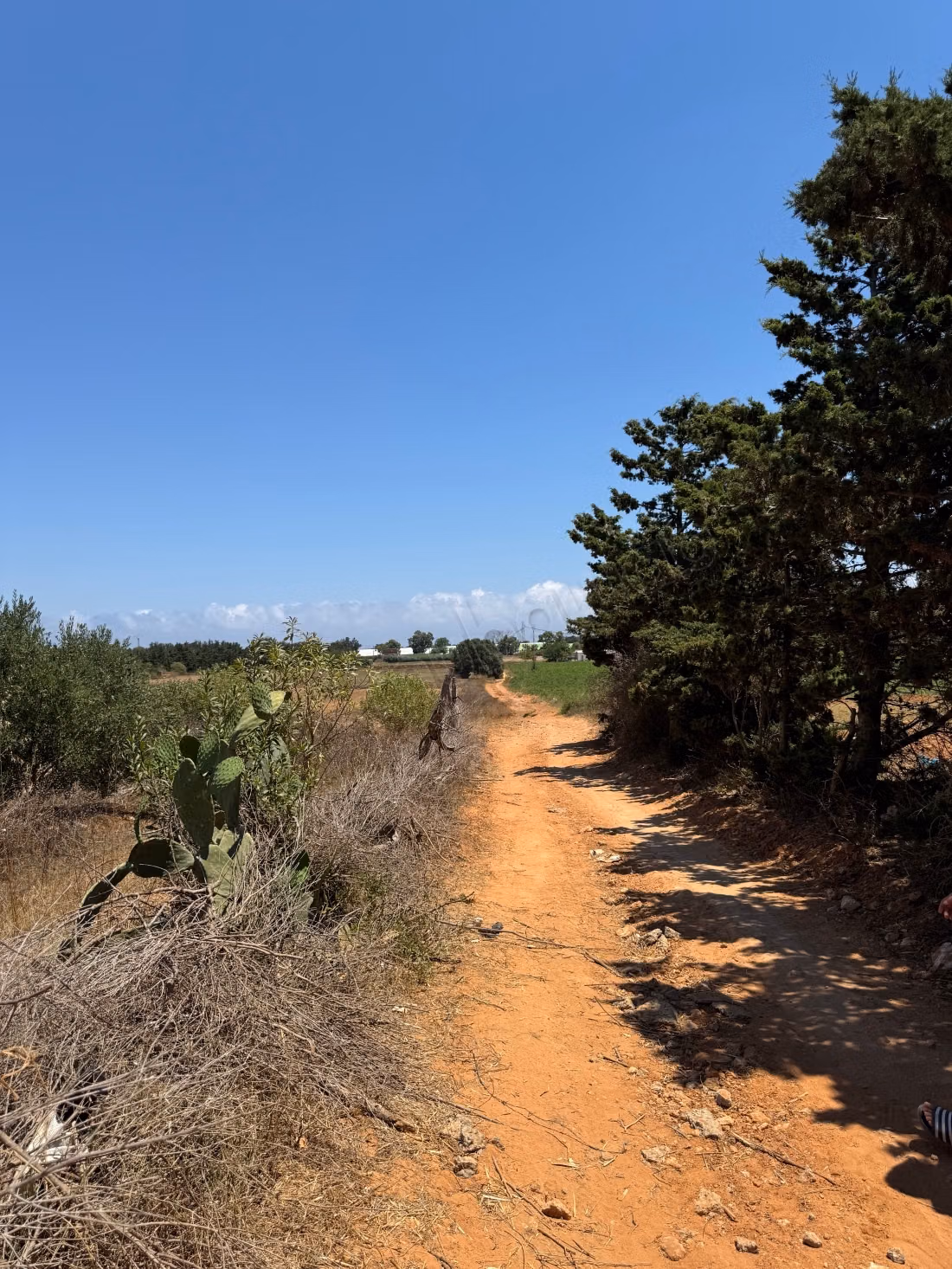  Land for sale in Sidi Mdhour - Kelibia 