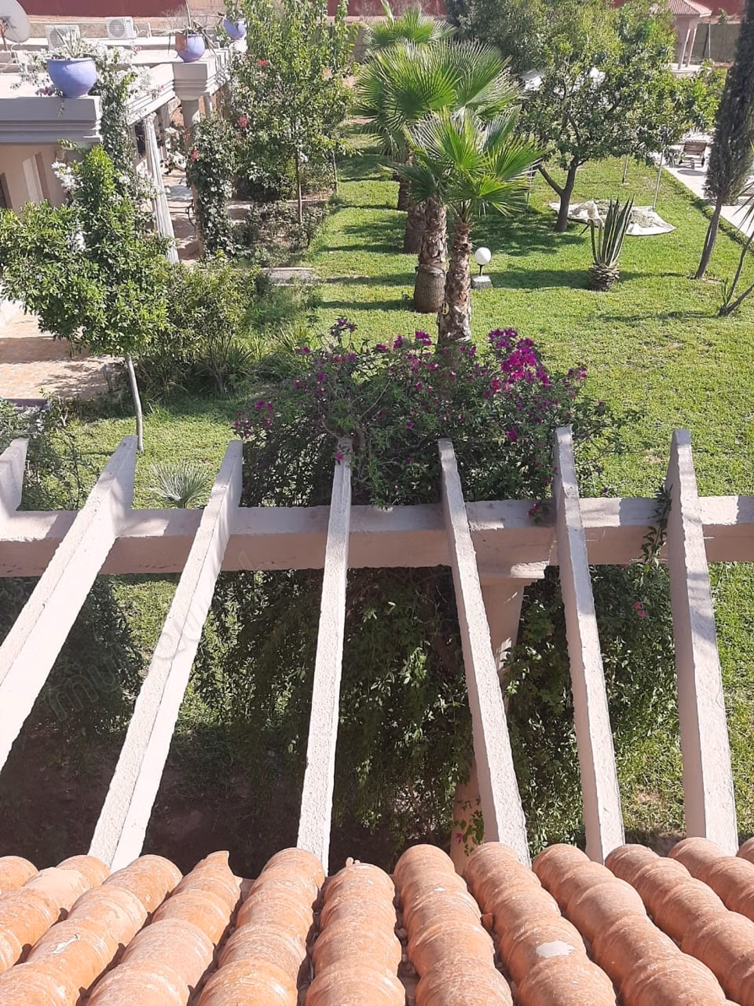 Exceptional property 3.75 ha just 16 km from Marrakech