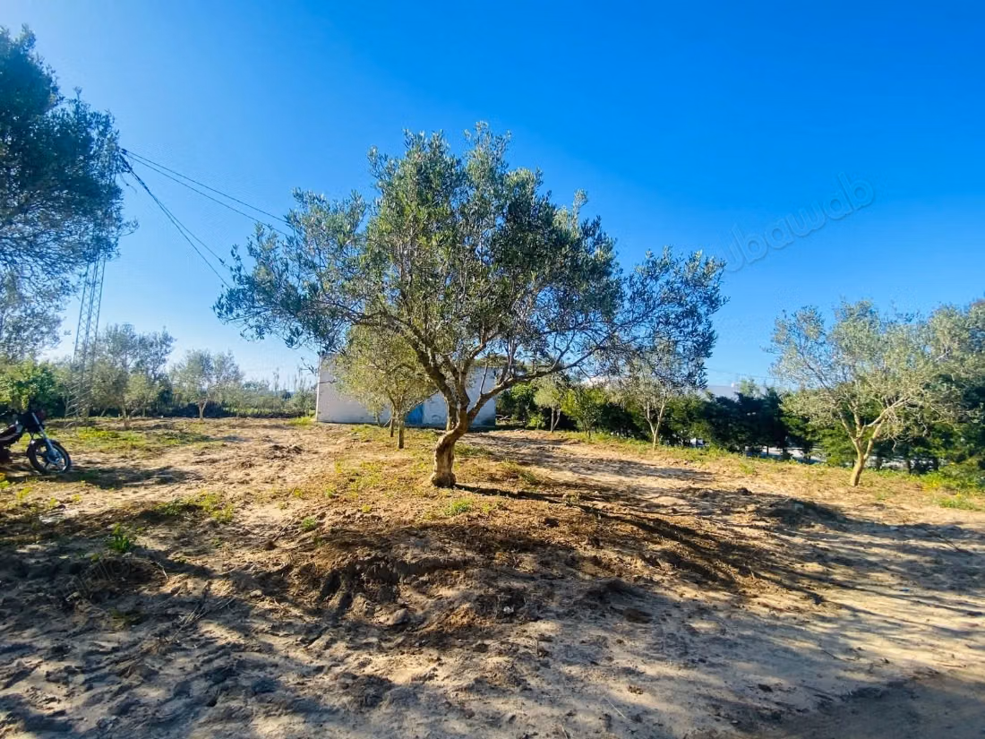 Plot for sale in Tamzrat Hammam Laghzez