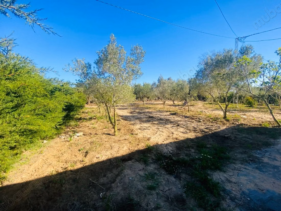 Plot for sale in Tamzrat Hammam Laghzez