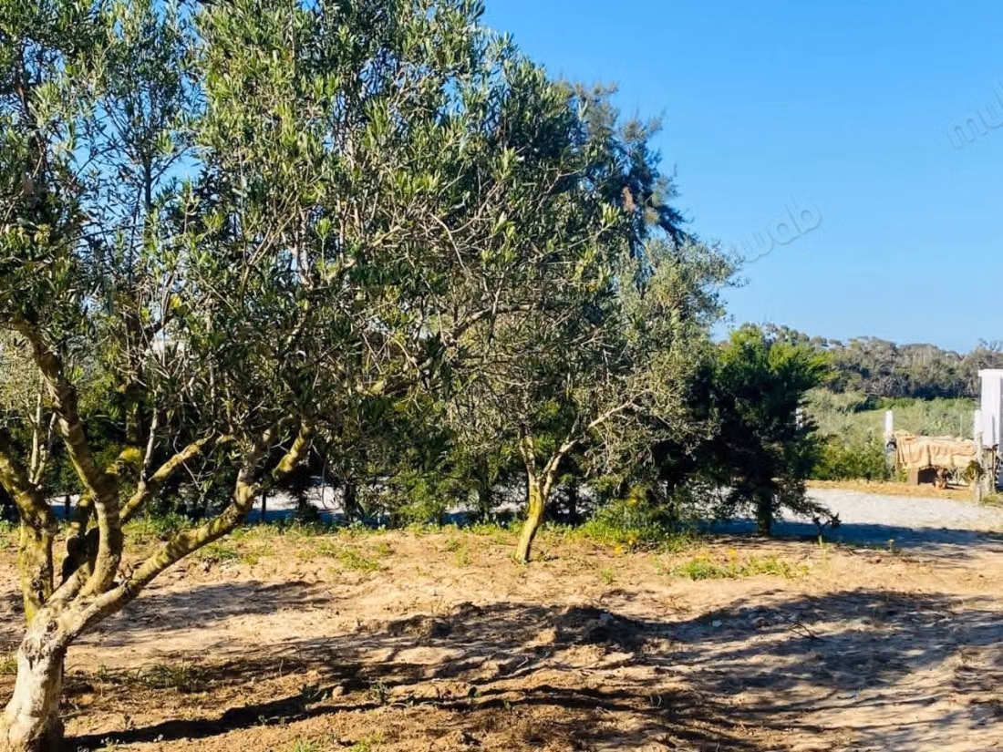 Plot for sale in Tamzrat Hammam Laghzez